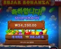 온라인슬롯 루작 보난자 34천원