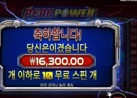 피크 파워 １０바퀴