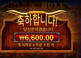 프라그마틱 블랙 불