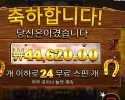 머스탱 골드 메가웨이즈 ２２３배