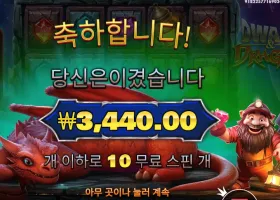 드워프 앤드 드래곤 １０스핀