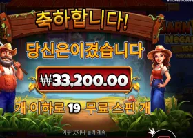 반야드 메가헤이즈 166배