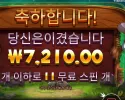 릴리즈 더 바이슨 11스핀