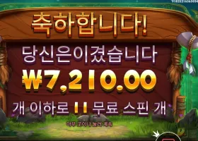 릴리즈 더 바이슨 11스핀