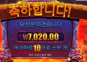 프라그마틱 바이킹 포지