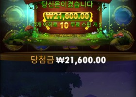 아이리시 크라운