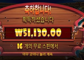 프라그마틱 개집 256배