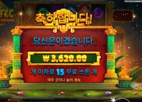 아즈텍 파워넛지 15스핀