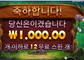 릴리즈 더 바이슨 12스핀