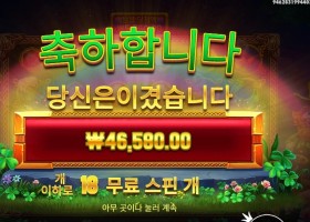 온라인슬롯 휠 오골드 ２３３배