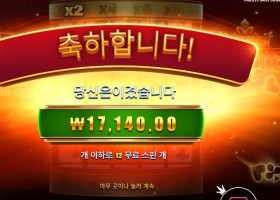 포춘 에이스 17천원