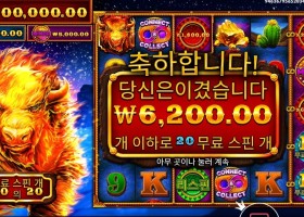 파이어 스탬피드