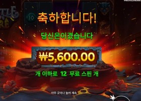 프라그마틱 캐슬 오브 파이어