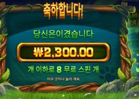 프라그마틱 플레이 팀버 스택스