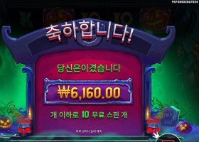 인펙티드 와일드 10스핀