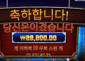 머스탱 트레일 141배