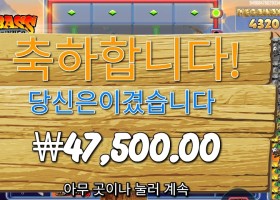 빅 배스 홀드 앤 스피너 ２３８배