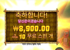 랍스타 밥스 2콩 배팅