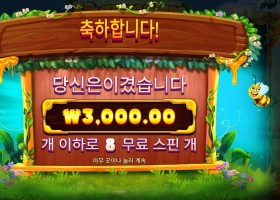 ３ 버징 와일드 확장 픽