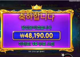 스타라이트 프린세스 1000 241배