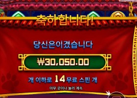 펫 판다 슈퍼스핀 ６콩 배팅