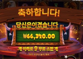 와일드 바이슨 차지 66천원