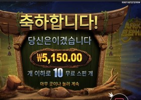 프라그마틱 아프리칸 앨리펀트 5천원