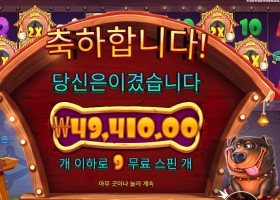 더 도그 하우스 멀티홀드 247배