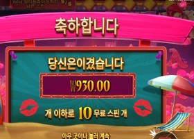 핀업 걸스 900원