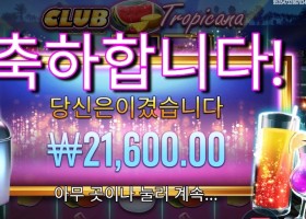 프라그마틱 플레이 클럽 트로피카나