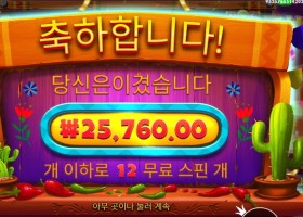 핫 페퍼 １２스핀