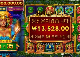 파이어버드 스피릿 35스핀