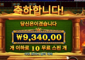 북 오브 골든 샌즈 10스핀