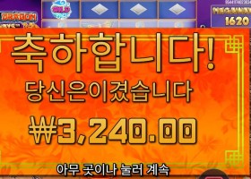 플로팅 드래곤 3천원