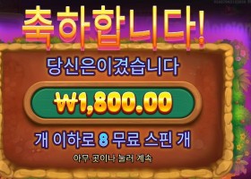 몰레이오네어 ８스핀