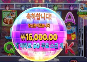 펭귄 크리스마스 파티 타임 50바퀴