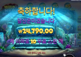 와일드 와일드 펄스 10스핀