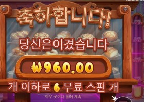 프라그마틱 와일디즈