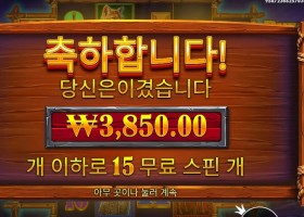 버팔로 킹 언테임드 １５스핀