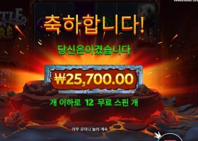 캐슬 오브 파이어 25천원