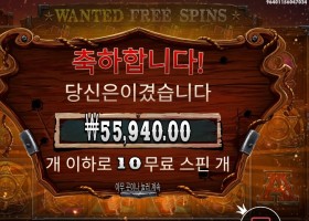 더 와일드 갱 ２８０배