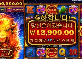 파이어 스탬피드 17스핀