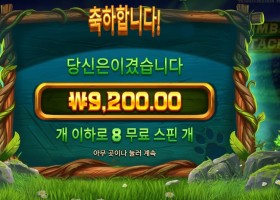 프라그마틱 팀버 스택스