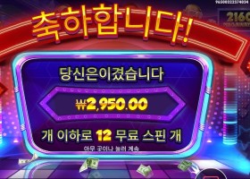 더 머니 맨 메가웨이즈 １２스핀