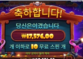 스카이 바운티 10스핀