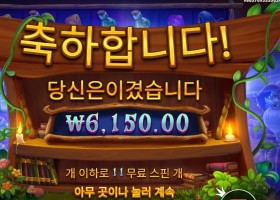 스펠바인딩 미스테리 11스핀