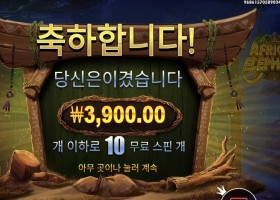 아프리칸 엘리펀트 10스핀