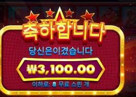 와일드 셀레브리티 버스 메가웨이즈