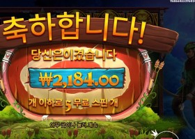 파이어 아처 5스핀