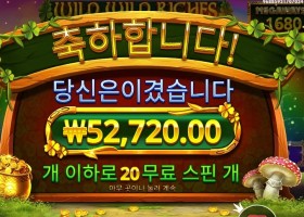 와일드 와일드 리치스 264배